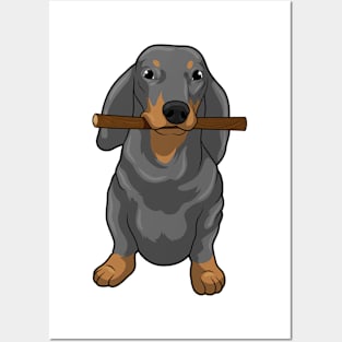 Dachshund Stick Posters and Art